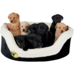 Креветче за миленици