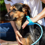 Сет за капење миленик