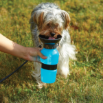 Шише за пиење вода за вашиот миленик